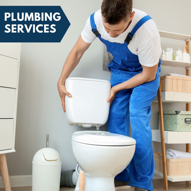 Plumbing Company in Willseyville, NY